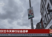 爱游戏地址-包含爱尔兰队备战充分，迎接紧张国际比赛的词条