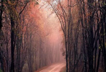 爱游戏链接-争霸半决赛！欧国联坚持到底的强队，争霸半决赛!欧国联坚持到底的强队是什么