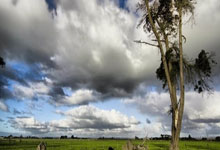 爱游戏网站-沃尔夫斯堡后防线表现不佳，成为球队进步的瓶颈，沃尔夫斯堡首发