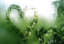 爱游戏网站-弗赖堡：逆境中的强韧与团结