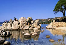 爱游戏娱乐-斯图加特俱乐部宣布解雇主教练，不再与其合作，斯图加特足球俱乐部百科