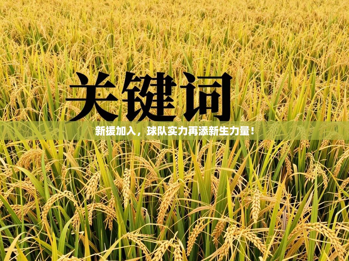 新援加入,球队实力再添新生力量! 第1张