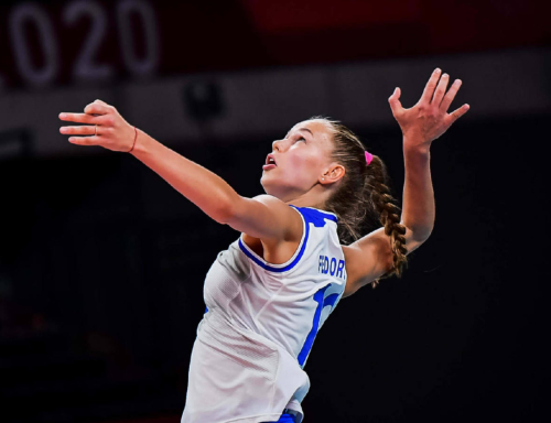 俄罗斯跳水队发挥出色,抢得前列的简单介绍 俄罗斯跳水队发挥出色,抢得前列的简单介绍